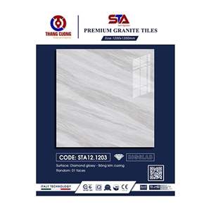 Gạch Porcelain Thắng Cường 120x120 STA121203