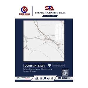 Gạch Porcelain Thắng Cường 120x120 STA121204