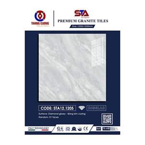 Gạch Porcelain Thắng Cường 120x120 STA121205
