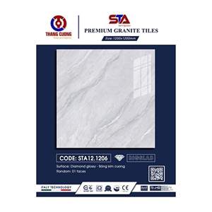 Gạch Porcelain Thắng Cường 120x120 STA121206