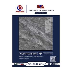 Gạch Porcelain Thắng Cường 120x120 STA121208