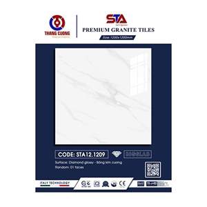 Gạch Porcelain Thắng Cường 120x120 STA121209
