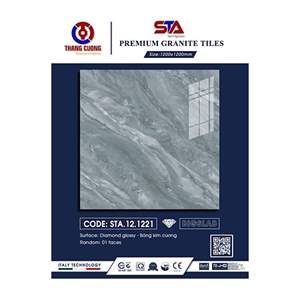 Gạch Porcelain Thắng Cường 120x120 STA121221