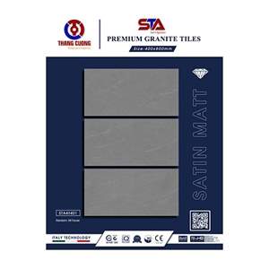 Gạch Porcelain Thắng Cường 40x80 STA48401
