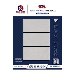 Gạch Porcelain Thắng Cường 40x80 STA48402