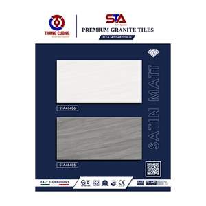 Gạch Porcelain Thắng Cường 40x80 STA48405-06