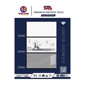 Gạch Porcelain Thắng Cường 40x80 STA48604-05D-06
