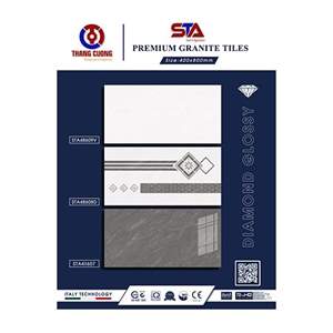 Gạch Porcelain Thắng Cường 40x80 STA48607-08D-09