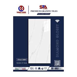 Gạch Porcelain Thắng Cường 60x120 STA612001