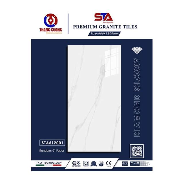 Gạch Porcelain Thắng Cường 60x120 STA612001