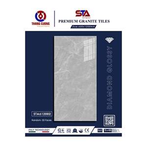Gạch Porcelain Thắng Cường 60x120 STA612002