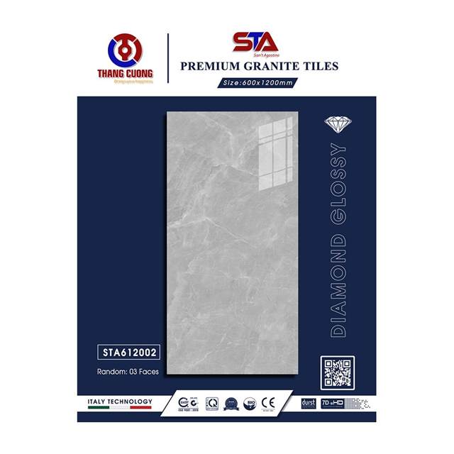 Gạch Porcelain Thắng Cường 60x120 STA612002
