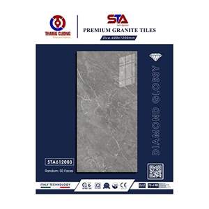 Gạch Porcelain Thắng Cường 60x120 STA612003