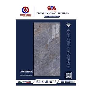 Gạch Porcelain Thắng Cường 60x120 STA612004