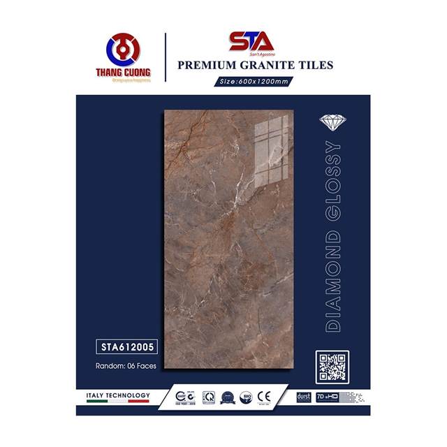 Gạch Porcelain Thắng Cường 60x120 STA612005