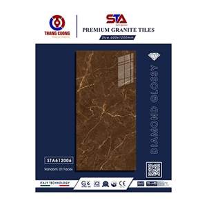 Gạch Porcelain Thắng Cường 60x120 STA612006