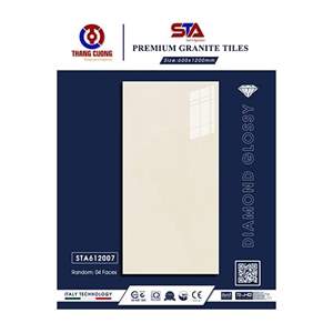 Gạch Porcelain Thắng Cường 60x120 STA612007