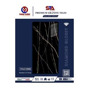 Gạch Porcelain Thắng Cường 60x120 STA612008