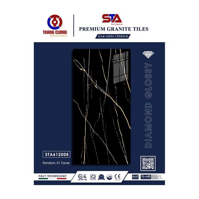 Gạch Porcelain Thắng Cường 60x120 STA612008