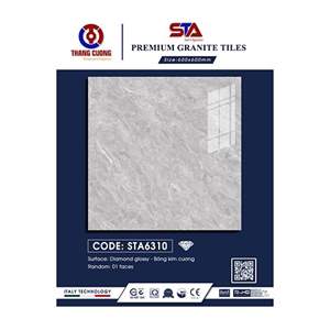 Gạch Porcelain Thắng Cường 60x60 STA6310