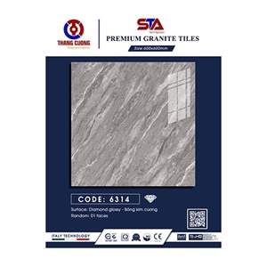 Gạch Porcelain Thắng Cường 60x60 STA6314
