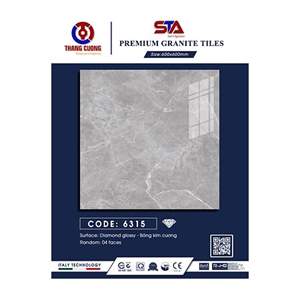 Gạch Porcelain Thắng Cường 60x60 STA6315