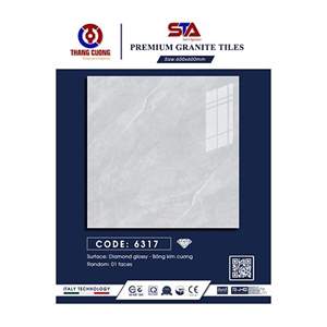 Gạch Porcelain Thắng Cường 60x60 STA6317