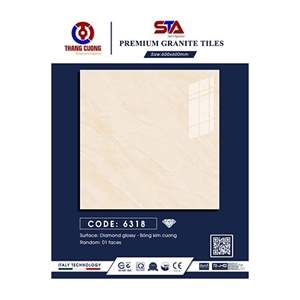 Gạch Porcelain Thắng Cường 60x60 STA6318