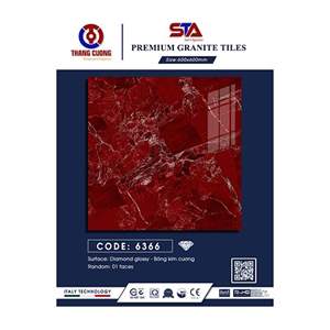 Gạch Porcelain Thắng Cường 60x60 STA6366