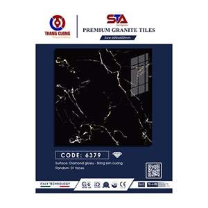 Gạch Porcelain Thắng Cường 60x60 STA6379
