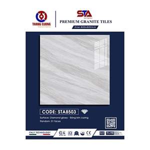 Gạch Porcelain Thắng Cường 80x80 STA8503