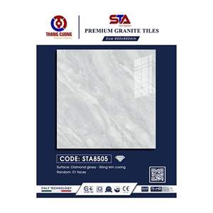 Gạch Porcelain Thắng Cường 80x80 STA8505