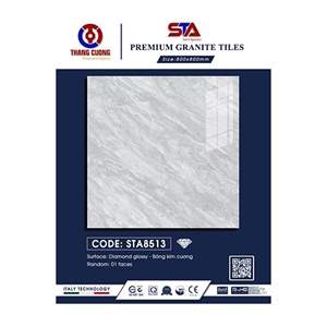 Gạch Porcelain Thắng Cường 80x80 STA8513