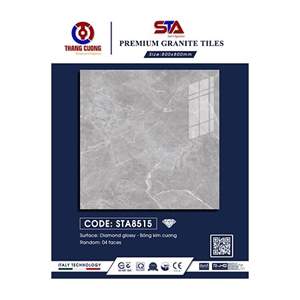 Gạch Porcelain Thắng Cường 80x80 STA8515