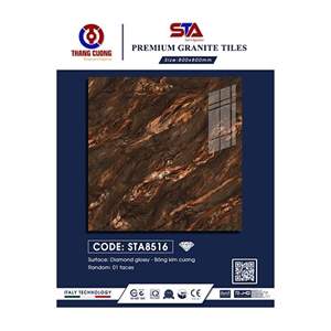 Gạch Porcelain Thắng Cường 80x80 STA8516