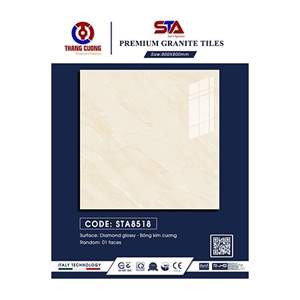 Gạch Porcelain Thắng Cường 80x80 STA8518