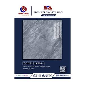 Gạch Porcelain Thắng Cường 80x80 STA8519