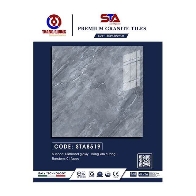 Gạch Porcelain Thắng Cường 80x80 STA8519