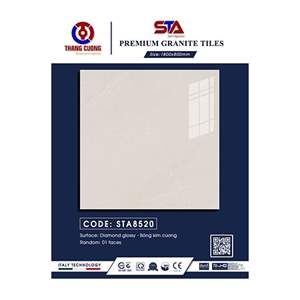 Gạch Porcelain Thắng Cường 80x80 STA8520
