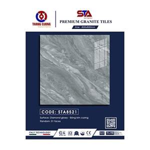 Gạch Porcelain Thắng Cường 80x80 STA8521