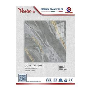 Gạch Porcelain Thắng Cường 100x100 V11001
