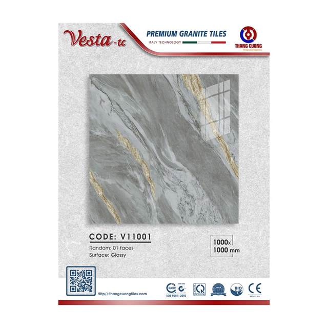 Gạch Porcelain Thắng Cường 100x100 V11001