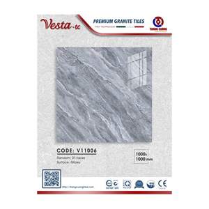 Gạch Porcelain Thắng Cường 100x100 V11006