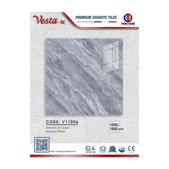 Gạch Porcelain Thắng Cường 100x100 V11006