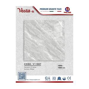 Gạch Porcelain Thắng Cường 100x100 V11007