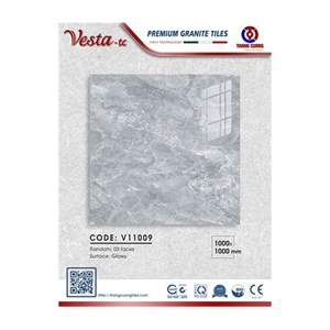 Gạch Porcelain Thắng Cường 100x100 V11009