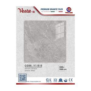 Gạch Porcelain Thắng Cường 100x100 V11010