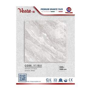 Gạch Porcelain Thắng Cường 100x100 V11031