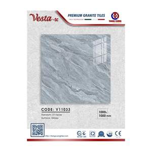 Gạch Porcelain Thắng Cường 100x100 V11033
