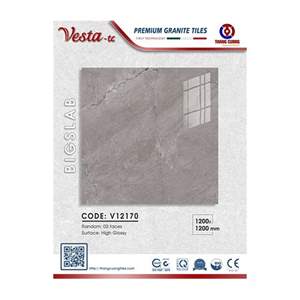 Gạch Porcelain Thắng Cường 120x120 V12170